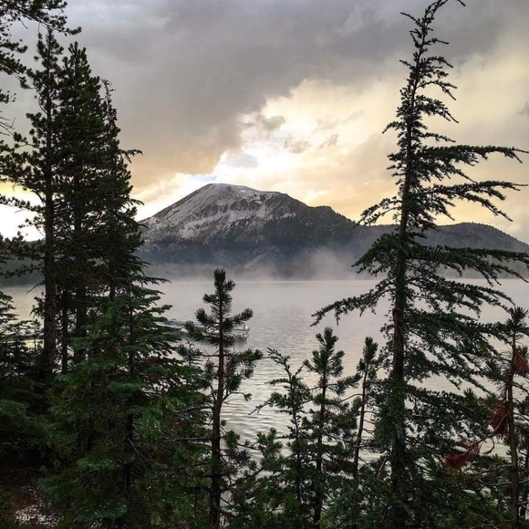 Meet your Posher, Amber - Picture 2 of 2